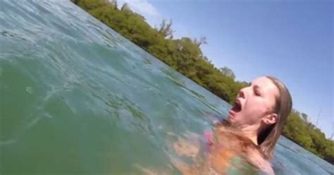 Girl Gets Attacked By Manatee Completely Freaks Out Huffpost Uk