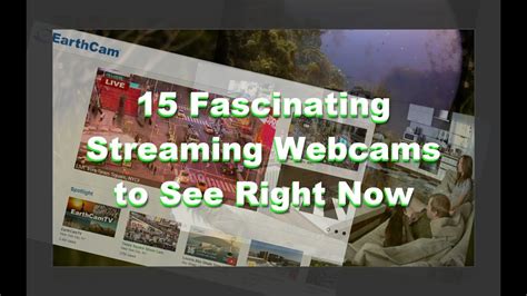 Watch 15 Strange Webcams Live Now Youtube