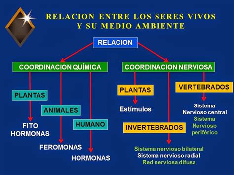 Biología Didáctica Nsc 2° Relación De Los Seres Vivos Y Su Medio