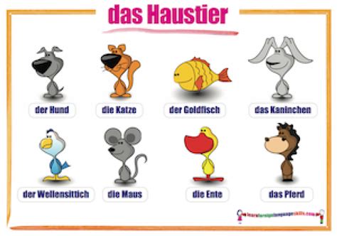 Learn Foreign Language Skills German animals wall chart / das Haustier