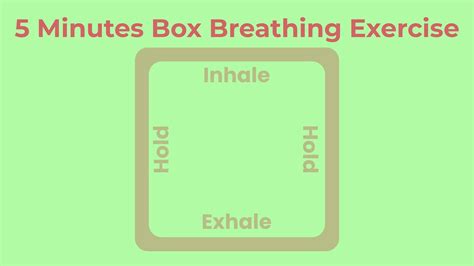 5 Minutes Guided Box Breathing Exercise How To Do Box Breathing Meditation Youtube