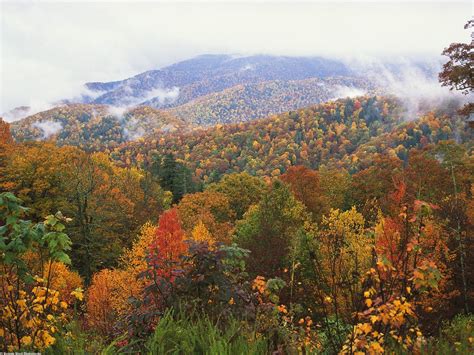 Appalachian Mountains In The Fall Appalachian Mountains North