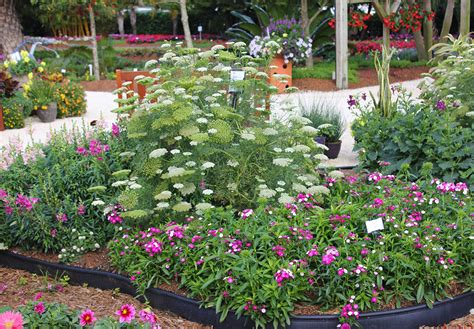 Small garden ideas can be quite subtle. Small Space Cut Flower Garden Ideas | Costa Farms