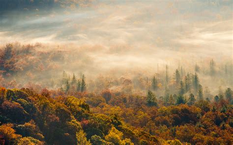 Nature Landscapes Hills Fog Mist Haze Trees Forest Color Autumn Fall