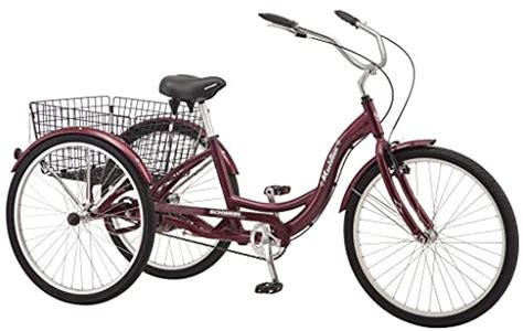 Top 10 Best Tricycle Bike For Adults Reviews And Comparison 2022