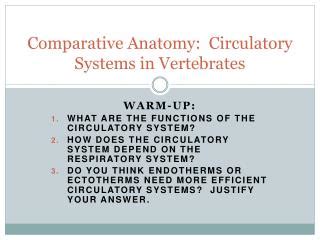 PPT - Comparative Anatomy: Animal Body Systems ...