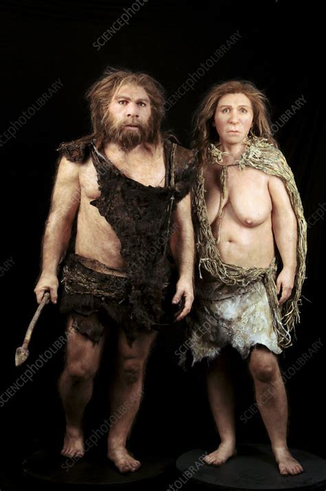Neanderthal Models Stock Image C021 3760 Science Photo Library