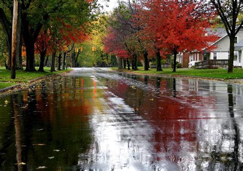 Autumn Rain Autumn Photo 19018740 Fanpop