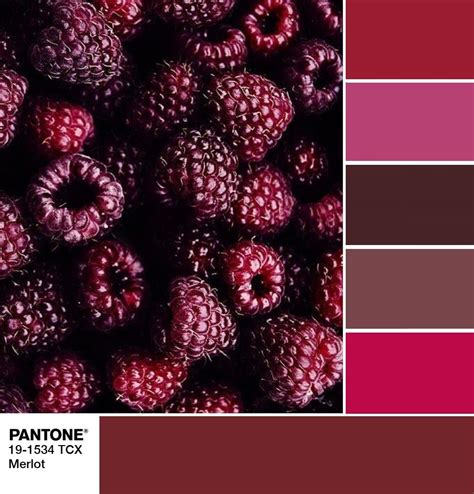 Модные цвета Panton Осень — Зима 20192020 Color Schemes Colour