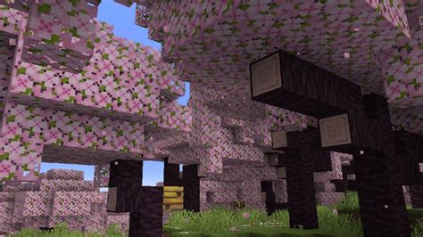 Experience The Pink Magic Minecrafts Cherry Blossom Biome