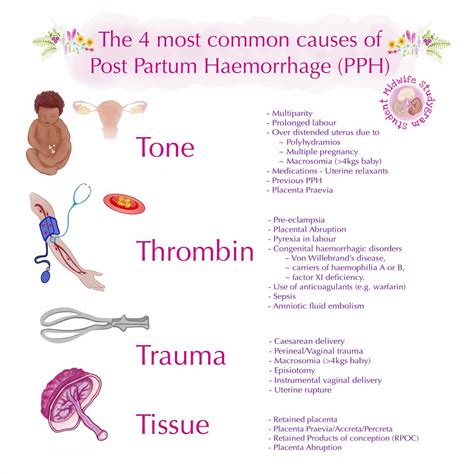 🩸 Post Partum Haemorrhage Student Midwife Studygram