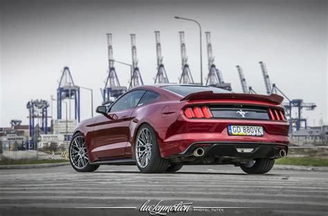 Ford Mustang Vehicle Gallery