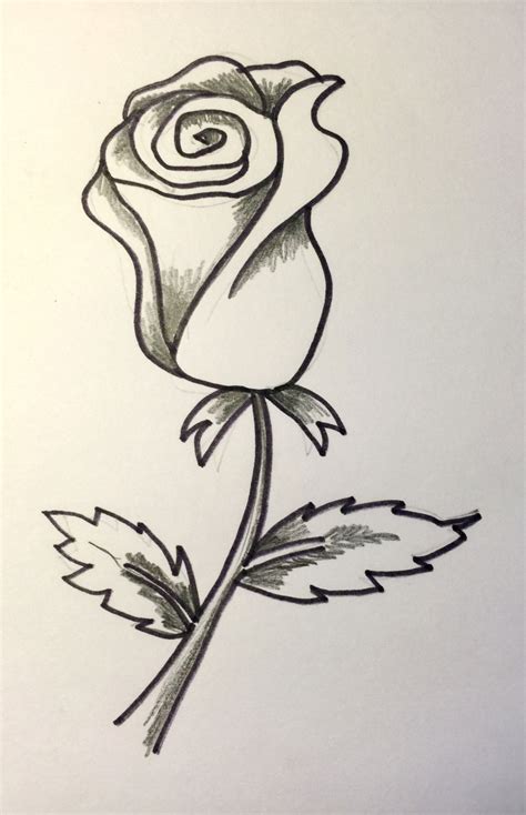 imagenes de rosas de amor para dibujar a lapiz rosas imagenes de images and photos finder