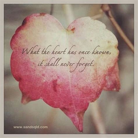 The purpose of this channel is to promote artists.however,we take copyright very seriously.for copyright issues please email us and it will be removed. Pin by Dollie Mama on A Mother's Grief | Flowers, Rose, Plants