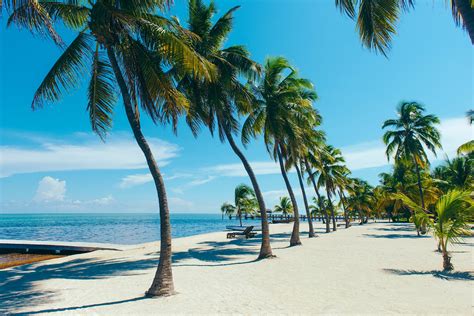 Things To Do In Islamorada The Best Of The Florida Keys Lonely Planet