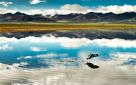 Hd Wallpaper Ranwu Lake Tibet Autonomous Region China 2017 Bing