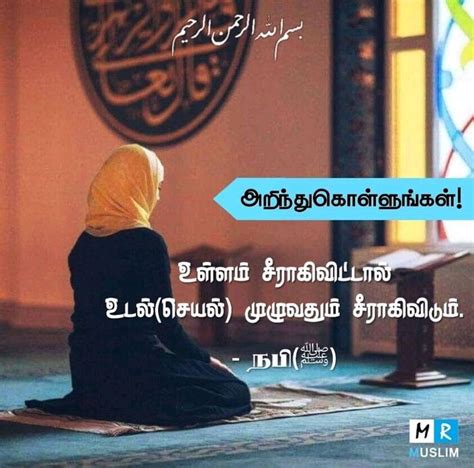 Tamil Quran Aayat By The Path Of Truth தமிழ் Quran