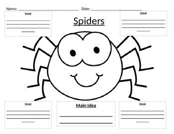 Spider Web Graphic Organizer