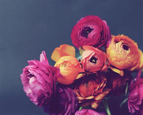 Deep Blooms Photograph By Lupen Grainne Fine Art America