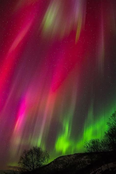 Pink Northern Lights Was Seen In Senja Island In Northern Norway