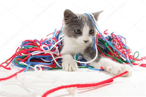 Kitten Playing With Yarn Stock Photo By ©ssilver 9437459