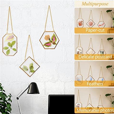 Apipi 3 Pcs Glass Frame For Pressed Flowers Golden Hanging Glass