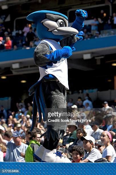 Toronto Blue Jays Mascots Ace Photos And Premium High Res Pictures