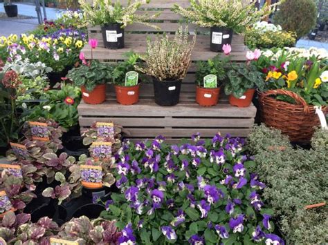 It is a development from the concept of the retail plant nursery but with a wider range of outdoor products. Home & Garden Centre | Avant Home and Garden Centre