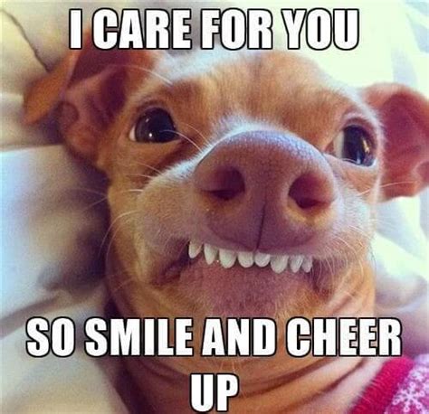 Top 50 Cheer Up Memes Thatll Instantly Lift Your Mood Scoopify