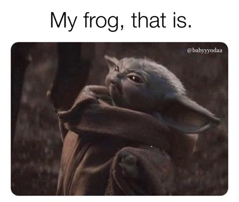 Baby Yoda On Instagram Dont Mess With Baby Yodas Frogs⠀ ⠀ ⠀ ⠀