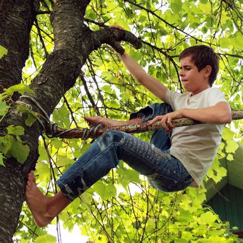Teenager Climbing Tree