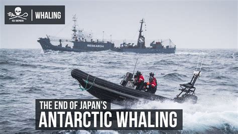 The End Of Japans Antarctic Whaling Youtube