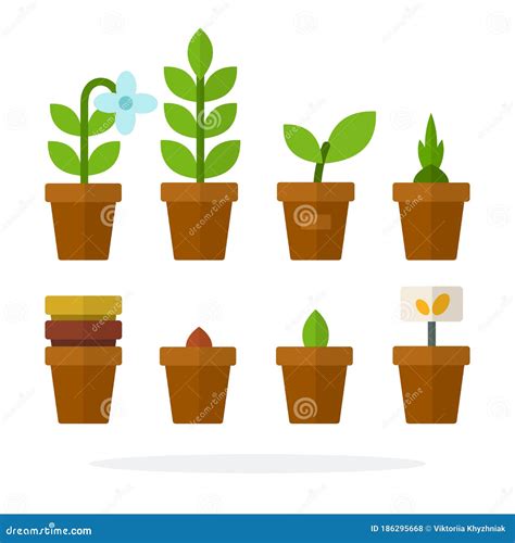 House Plants And Flowers In Pots Vector Flat Isolated Stock Vector