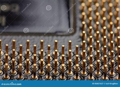 The Micro Elements Of Computer Central Processor Unit Cpu Contact Pins Close Up Stock Image