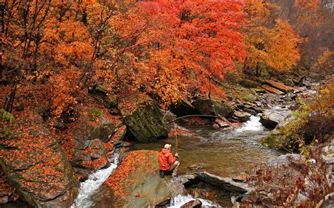 Fly Fishing Wallpapers - Wallpaper Cave