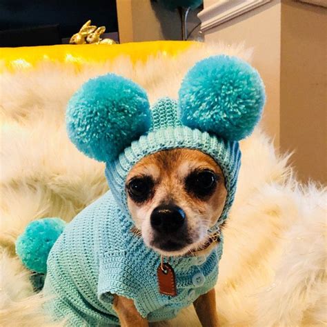 Bunny Easter Dog Outfit Cute Bunny Pet Costume Pom Pom Dog Etsy
