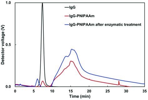 Separation Profile Of Igg And Igg Pnipaam Conjugates Before And After