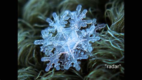 This is amazing!Macro Snowflakes by Alexey Kljatov | Snowflakes real, Snowflake images ...