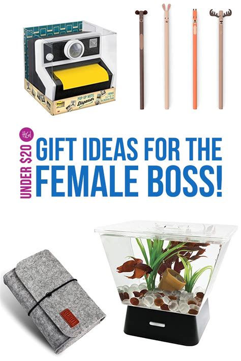 Want to get her something that shows you get what her hustle is about? Funky Gift Ideas for a Female Boss for Under $20!
