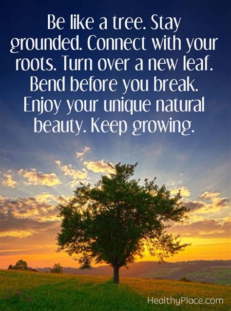 Positive Quote Be Like A Tree Stay Grounded Connect With Your Roots