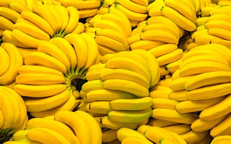 China Market Entry Benefits Yellow Bananas From Cambodia Khmer Post Asia
