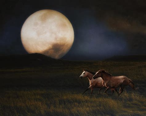 Moonlight Run Photograph By Ron Mcginnis Pixels