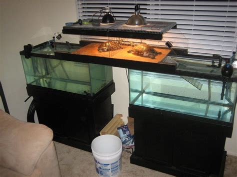 Above Tank Basking Area Which Also Doubles As A Land Bridge Between The
