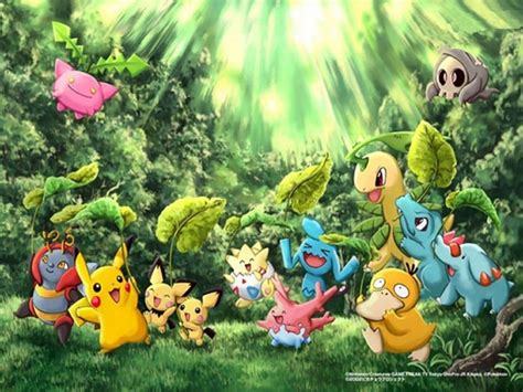 Pokemon Nature Wallpapers Top Free Pokemon Nature Backgrounds