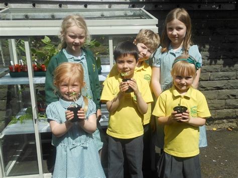Local Primary School Proud Owner Of Patio Greenhouse By Hartley Botanic