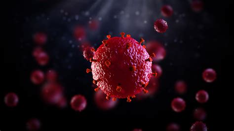 Hiv is a sexually transmitted infection (sti). BBC: UK patient free of HIV after stem cell treatment