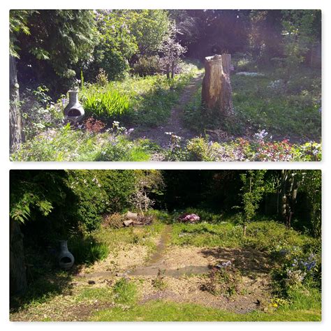 While stump removal can be done when removing a tree, it can also be done long after the tree must have been removed. Big Conifer Stump Removal Sutton Coldfield - Stumpman