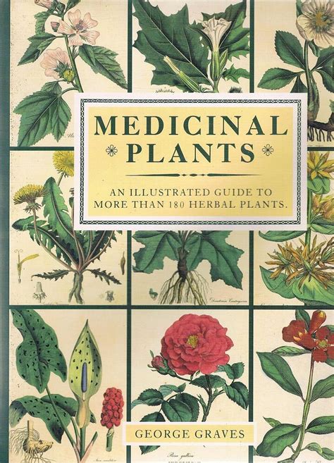 Medicinal Plants An Illustrated Guide To More Than 180 Herbal Plants