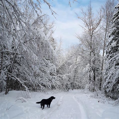 One Perfect Winter Day In Marquette Michigan A Locals Guide — Ems