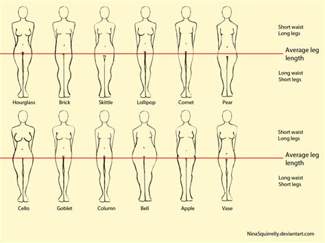 12 Realistic Female Body Shape Chart Drawing